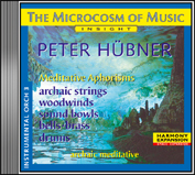 Peter Hübner - Instrumental No. 3