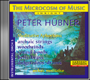 Peter Hübner - Instrumental No. 5